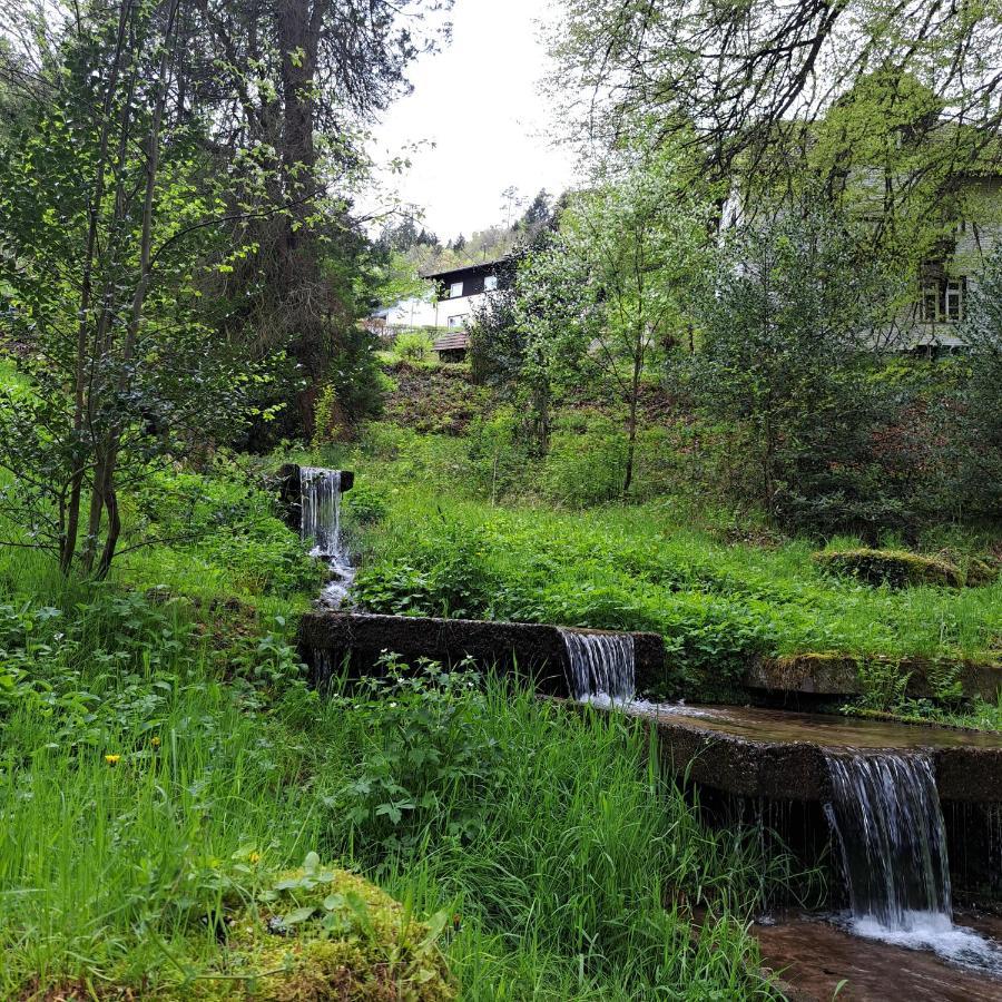 Wohn-Eitel Sonnenblick Apartman Bad Wildbad Kültér fotó